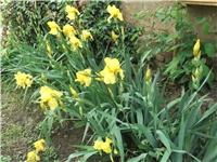 53ebe75f-Picture 032.jpg